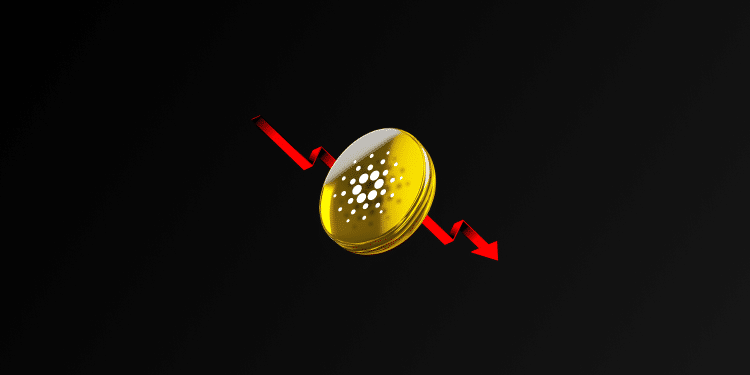 Cardano