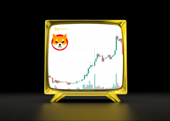 Shiba-ComebackShiba-Comeback