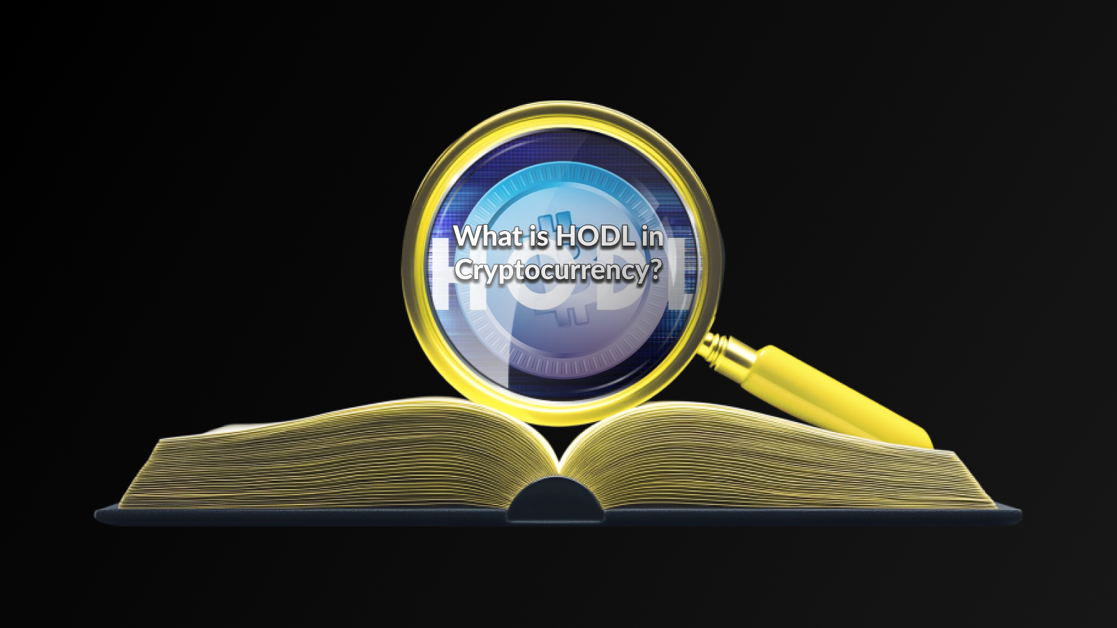 What Is HODL In Cryptocurrency Darkex Official Academy Area