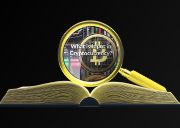 Input-in-Cryptocurrency
