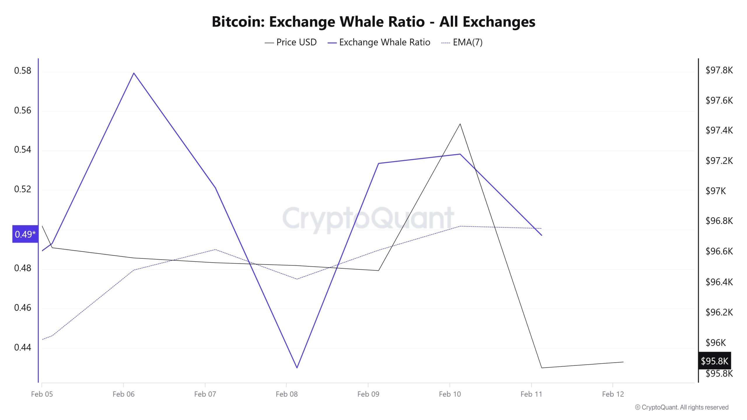 Whale1