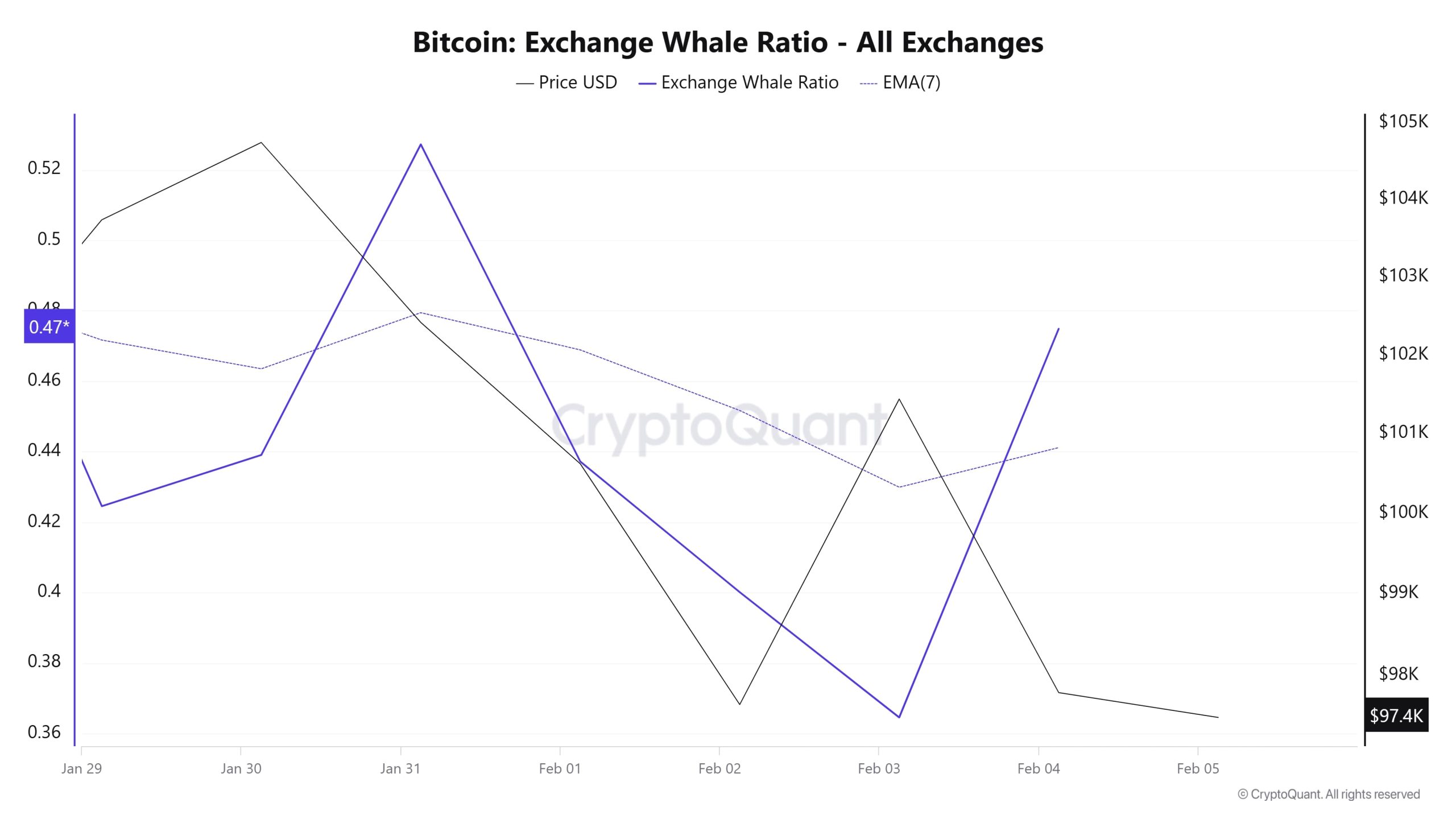 Whale 