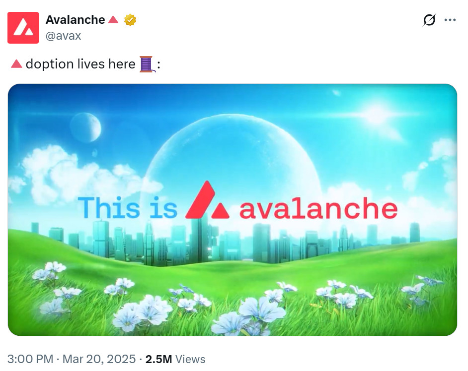 Avalanche Adoption