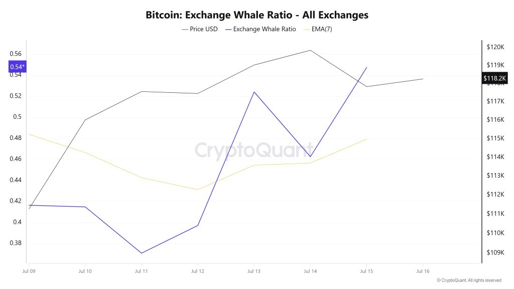 Bitcoin Whale Ratio