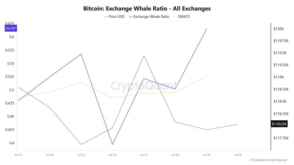 Bitcoin Whale Ratio