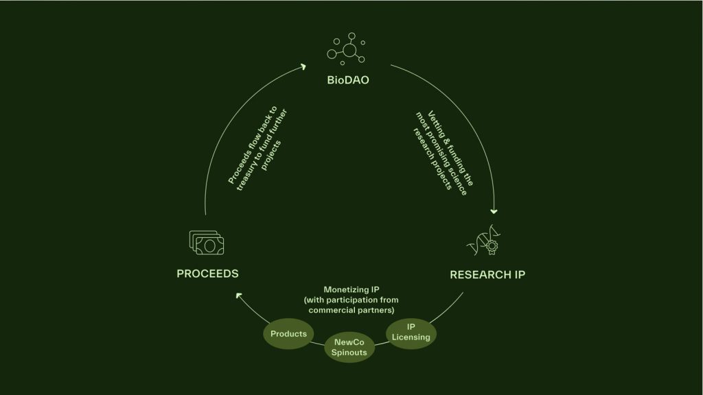 BioDao