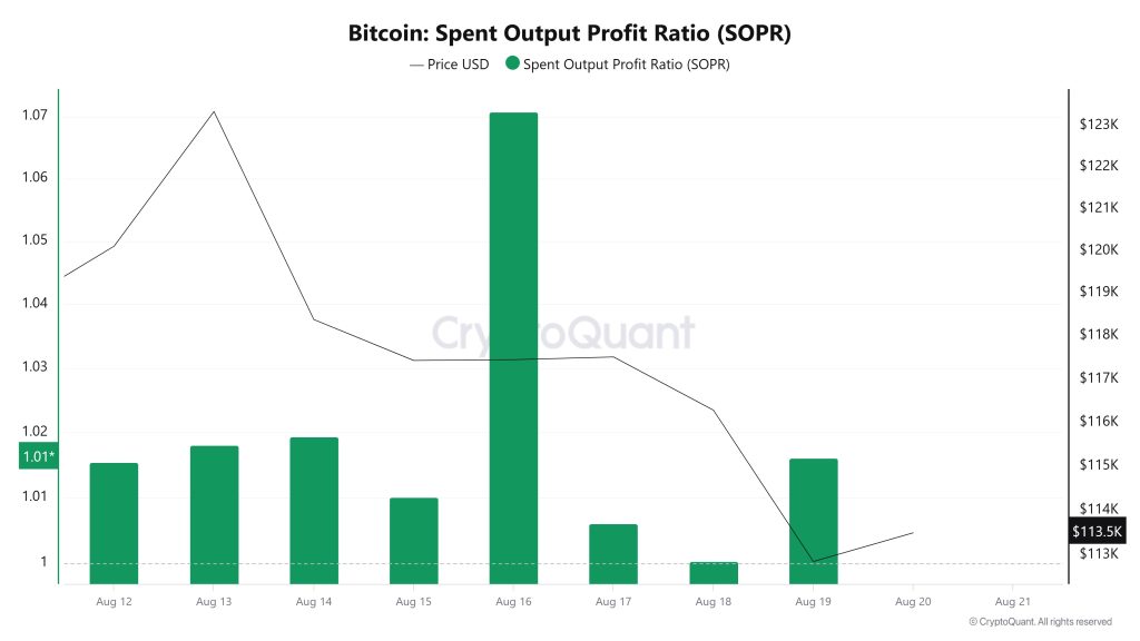 Bitcoin Spent Output Profit Ratio (SOPR)