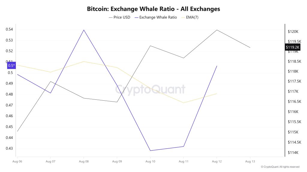 Bitcoin Whale Ratio