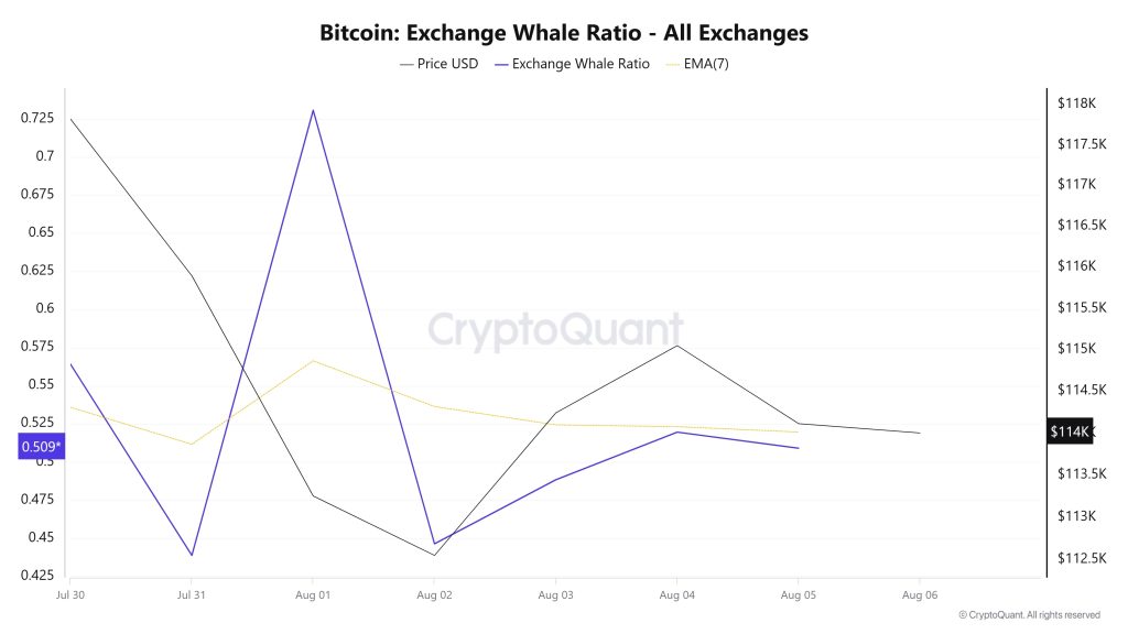 Bitcoin Whale Ratio