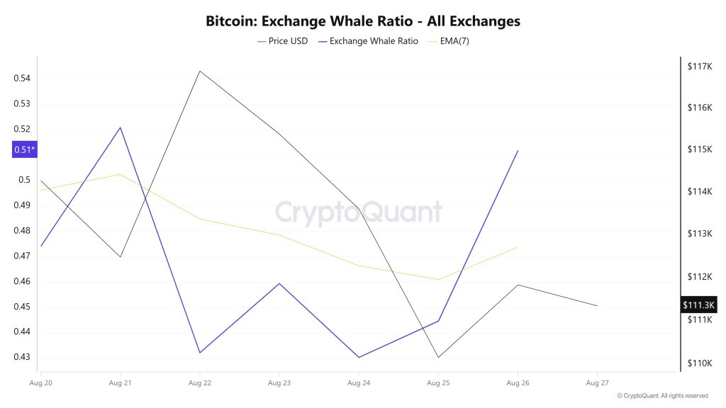 Bitcoin Whale Ratio