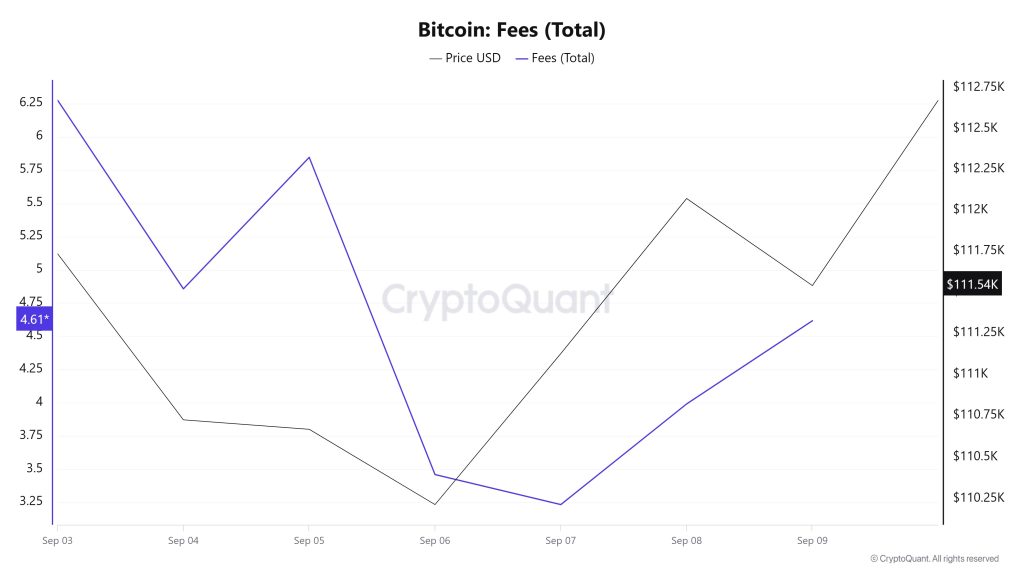 BTC Fees (Total)
