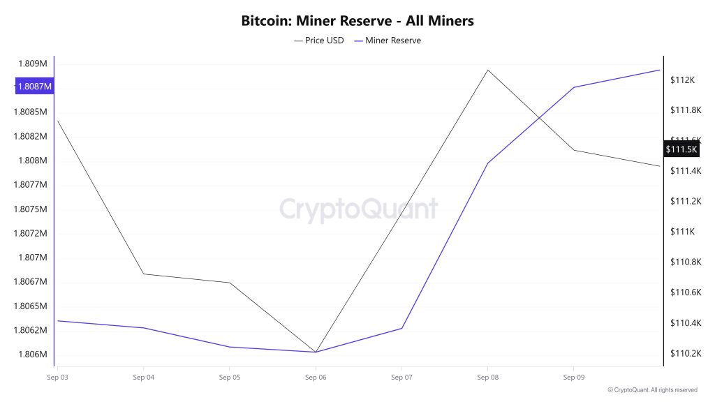 Bitcoin Miner Reserve