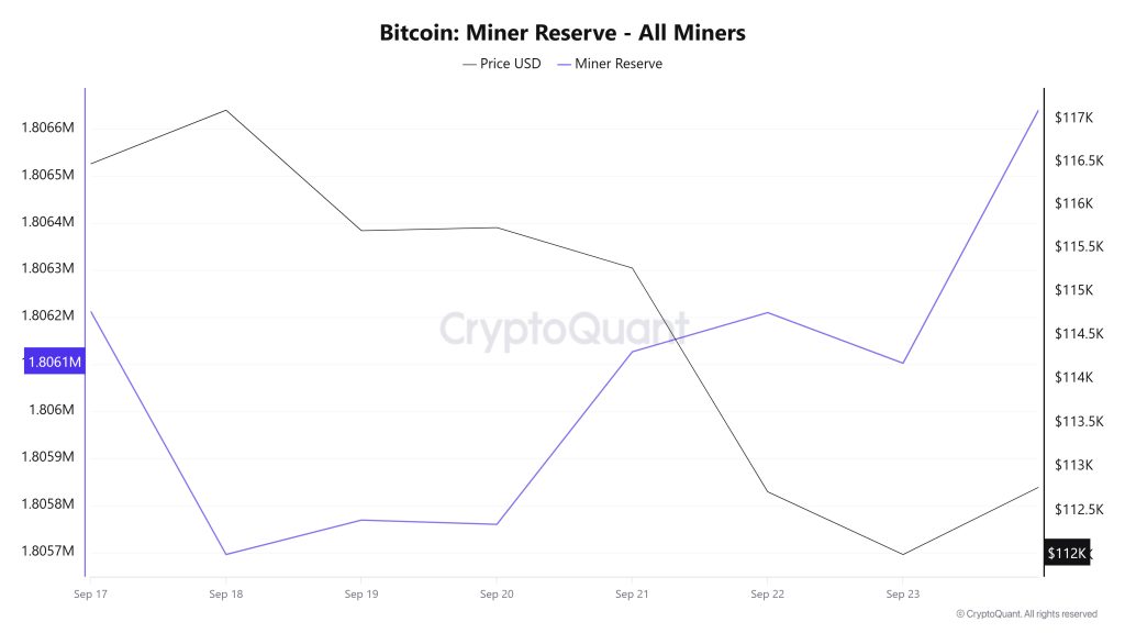 Bitcoin Miner Reserve