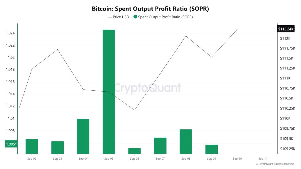 Bitcoin Spent Output Profit Ratio (SOPR)