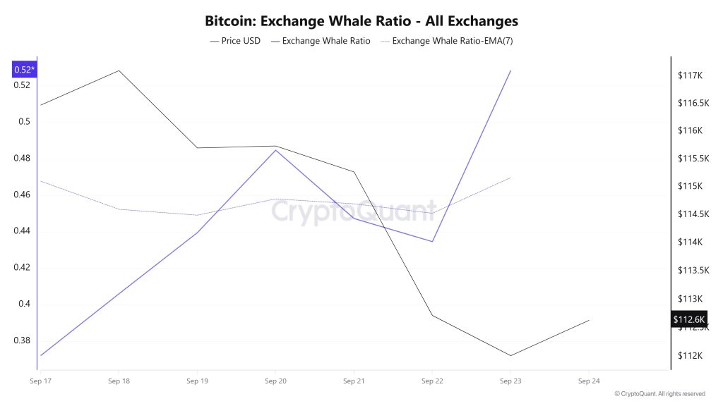 Bitcoin Whale Ratio