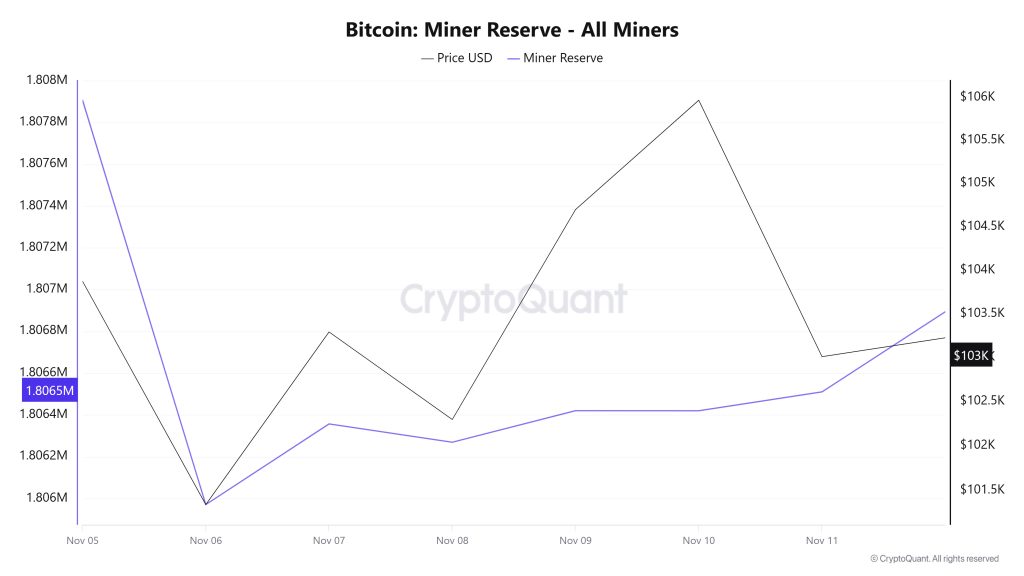 Bitcoin Miner Reserve