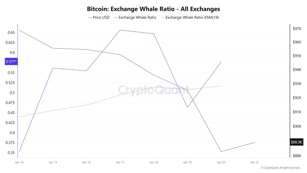 Bitcoin Exchange Whale Ratio
